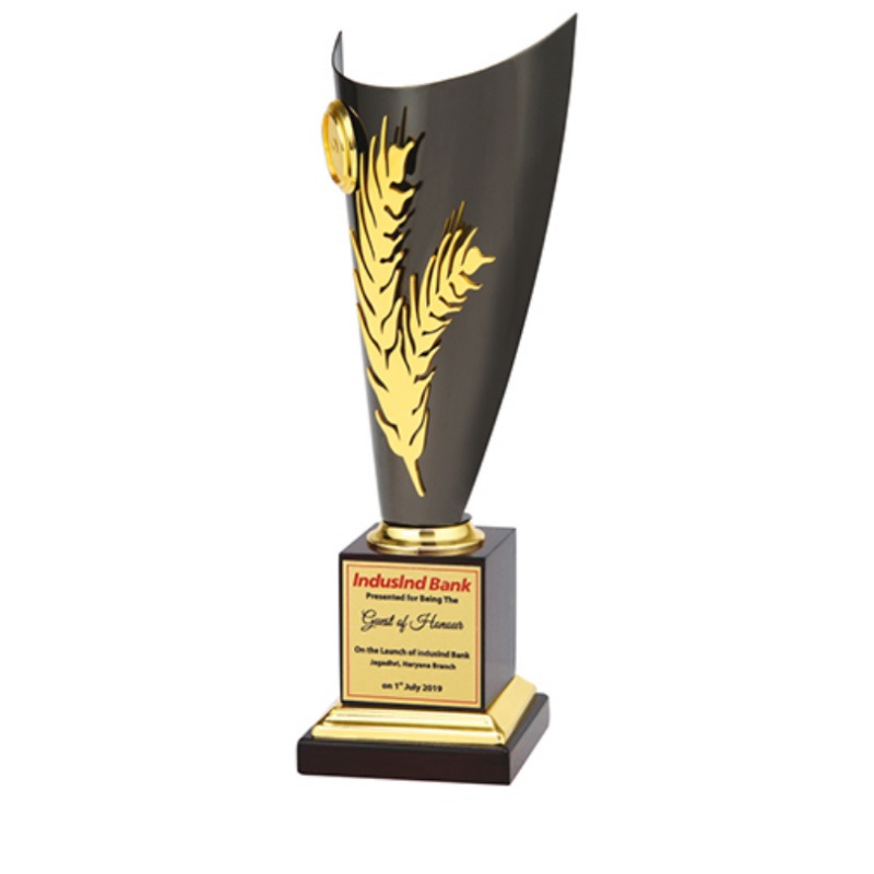 EA-Trophies-_-Awards-351.jpg
